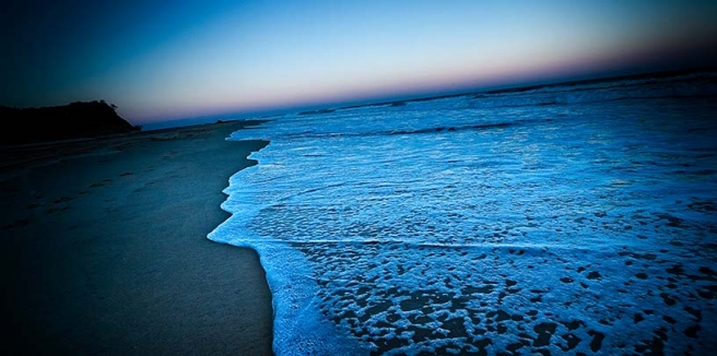 
          Camp Creative in full swing
          